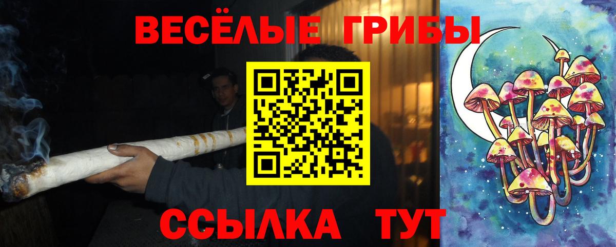Псилоцибиновые грибы Psilocybine cubensis  Вход с VPN  Чехов 