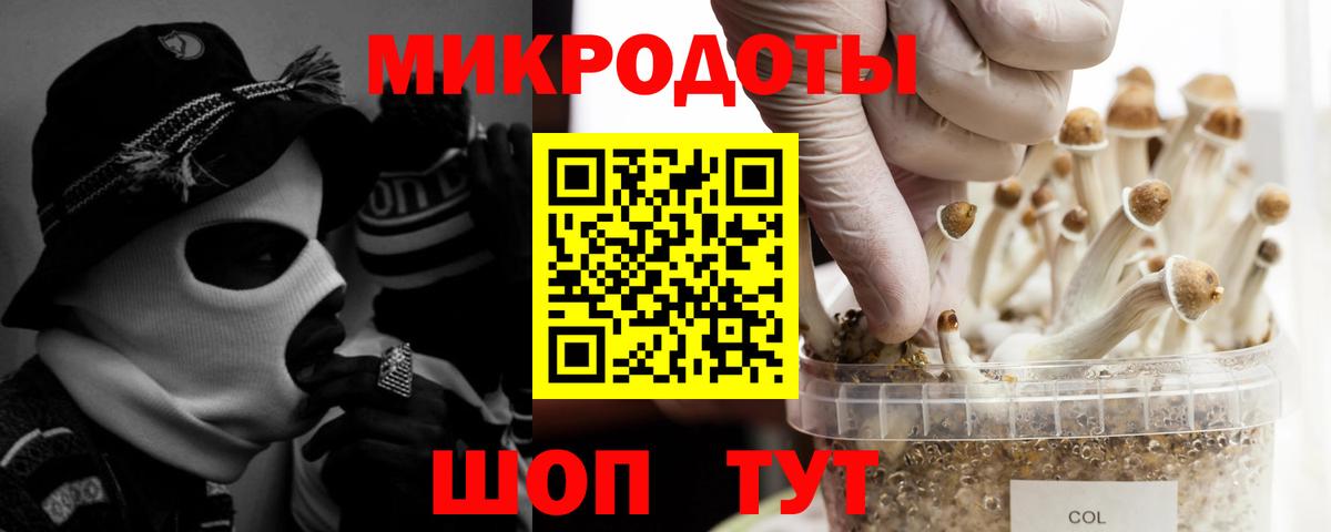 Галлюциногенные грибы Magic Shrooms Чехов